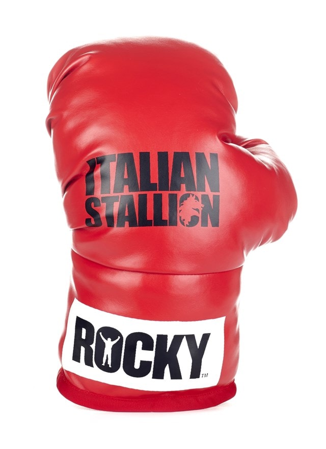 National Standard Products Boxing Training Gloves 