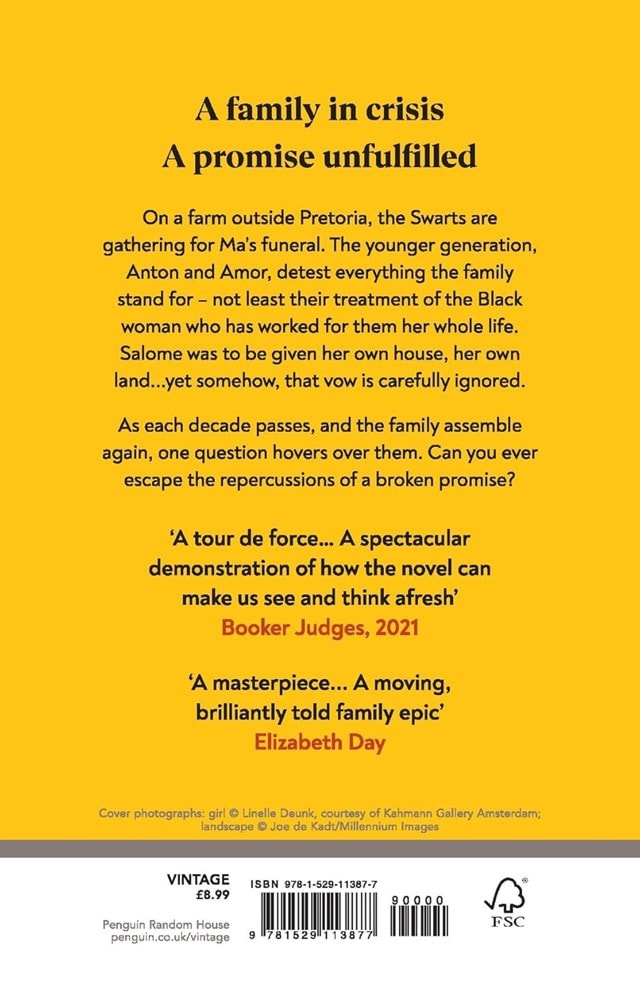 The Promise Paperback By Damon Galgut - 2