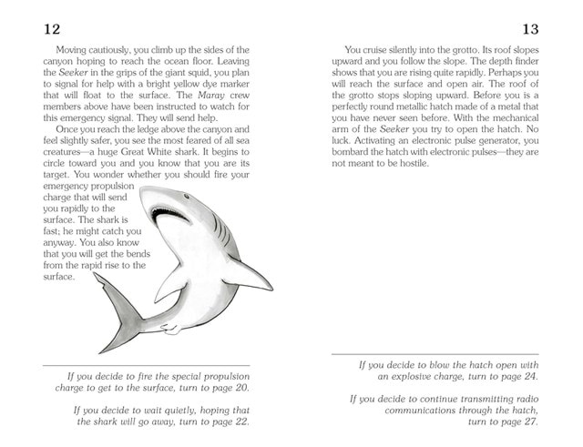 Journey Under The Sea (Choose Your Own Adventure) Paperback By Ross Montgomery - 4