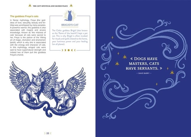 Magick Of Cats - 2