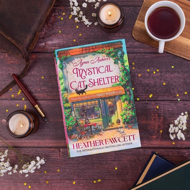Agnes Aubert's Mystical Cat Shelter Hardback By Heather Fawcett - 3