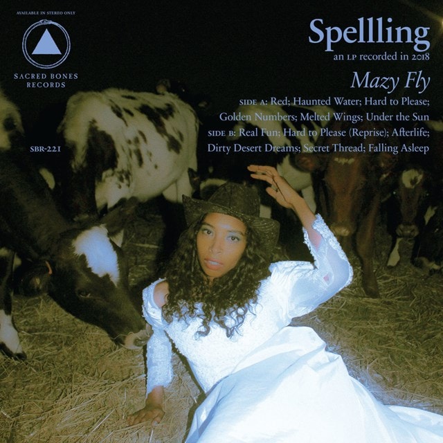 Mazy Fly - 1