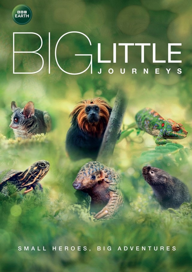 Big Little Journeys - 1