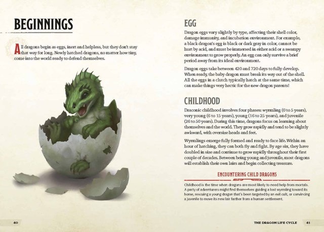 Dragons & Treasures Dungeons & Dragons Young Adventurer's Guide - 5