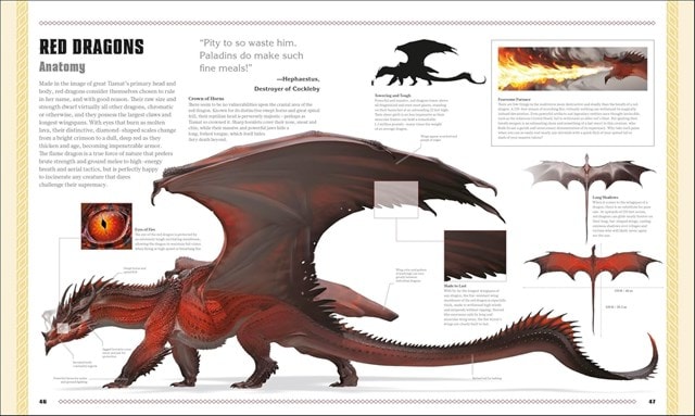 Dungeons & Dragons The Book Of Dragons D&D Hardback - 4