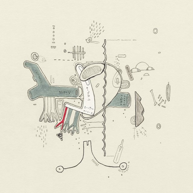 Tiny Changes: A Celebration of Frightened Rabbit's 'The Midnight Organ Fight' - 1