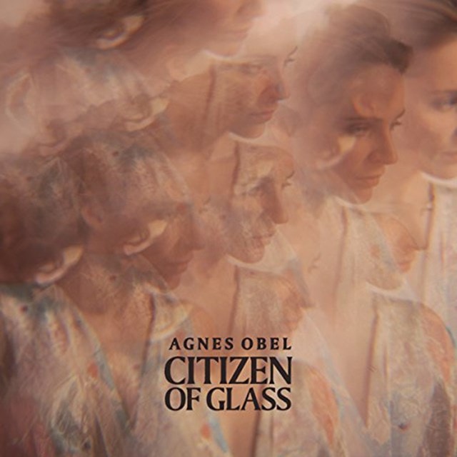 Citizen of Glass - 1