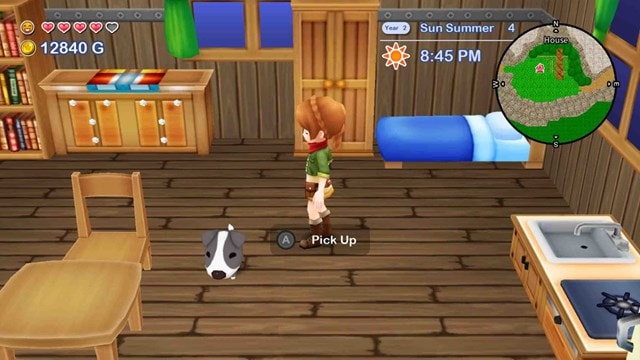 Harvest Moon: The Lost Valley & Skytree Village Collectors Edition (Switch) - 9