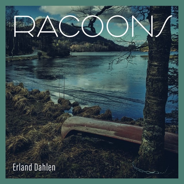 Racoons - 1