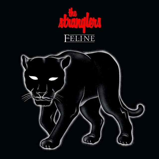 Feline - 1