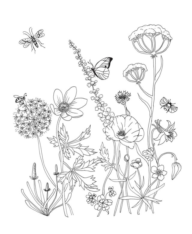 Woodland Wonderland Colouring Book - 3