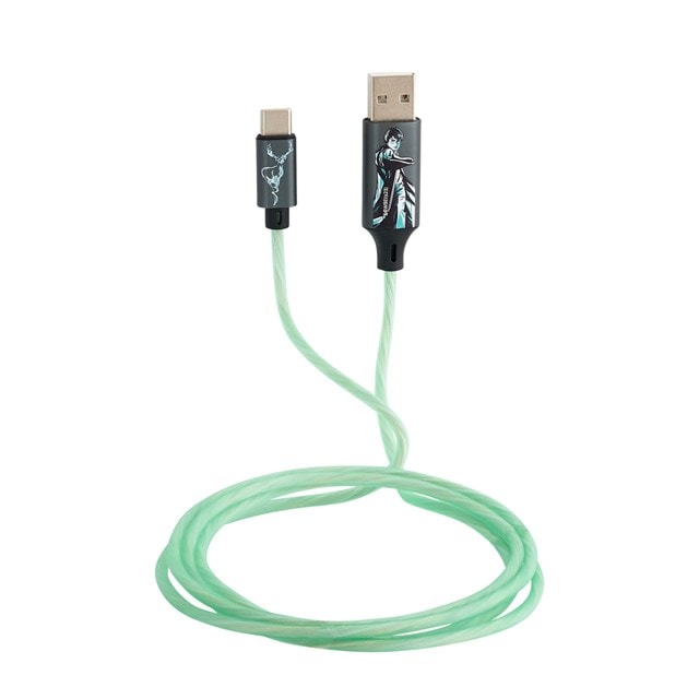 Lazerbuilt Harry Potter Light-Up USB-C Cable - 1
