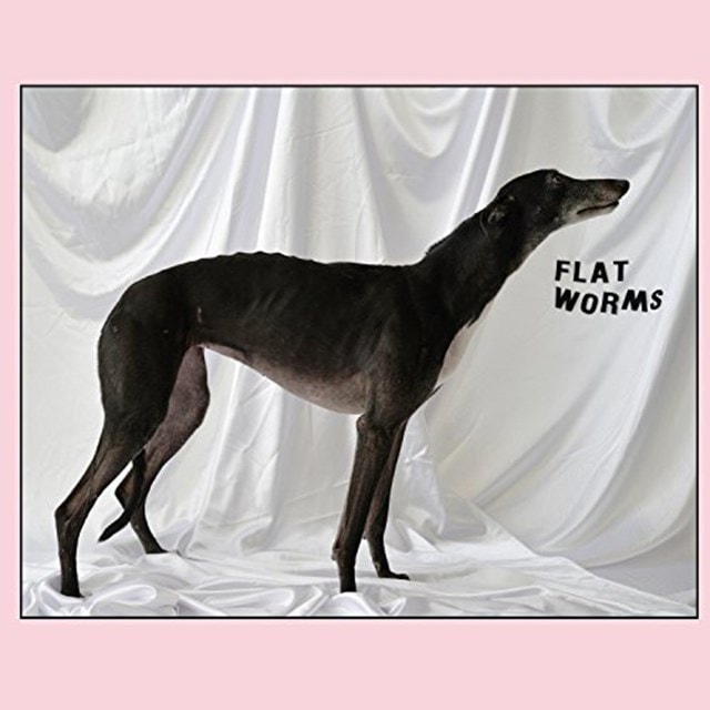 Flat Worms - 1