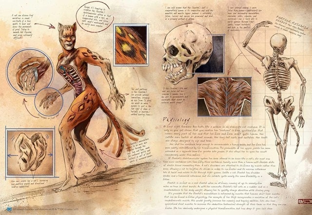 DC Comics: Anatomy Of A Metahuman Hardback - 5