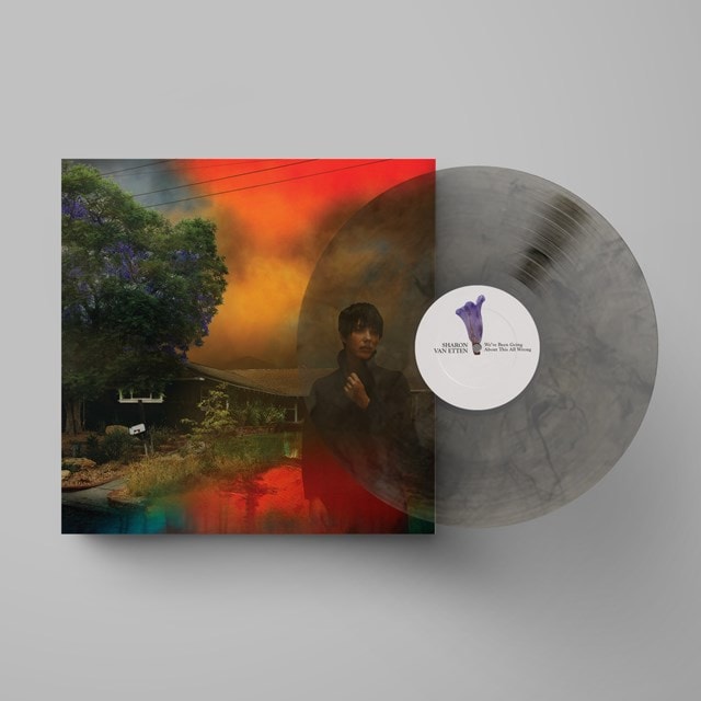 We've Been Going About This All Wrong - Limited Edition Marble Smoke Vinyl - 1