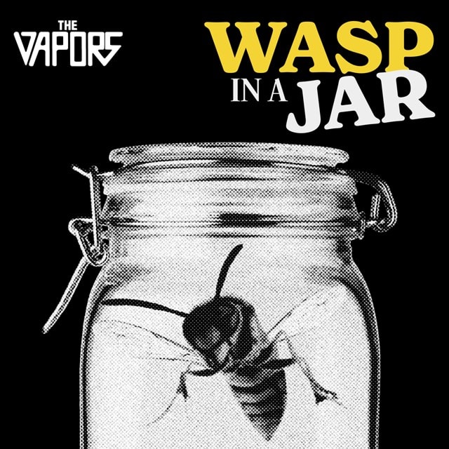 Wasp in a Jar - 1