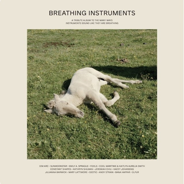 Breathing Instruments - 1