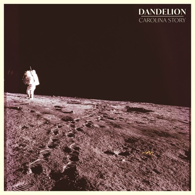 Dandelion - 1