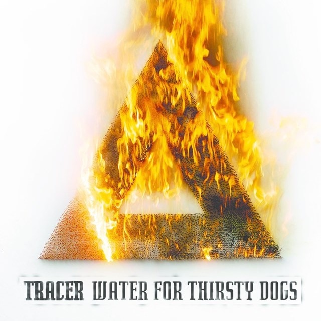 Water for Thirsty Dogs - 1