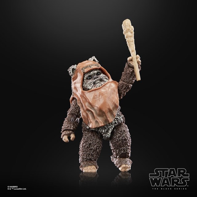 Wicket Hasbro Star Wars The Black Series Return of the Jedi 40th Anniversary Action Figure - 5