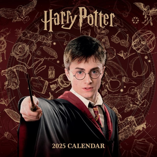 Harry Potter 2025 Calendar & Diary Gift Box - 4