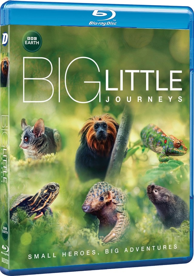 Big Little Journeys - 2