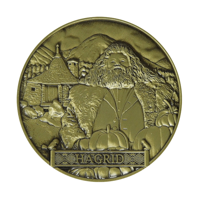 Hagrid Limited Edition Harry Potter Coin - 4