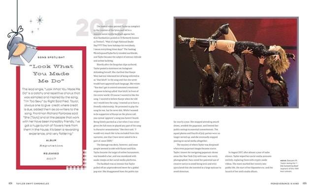 Taylor Swift Chronicles Hardback - 6