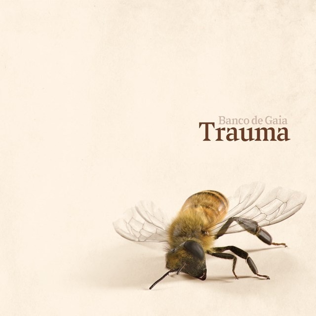 Trauma - 1