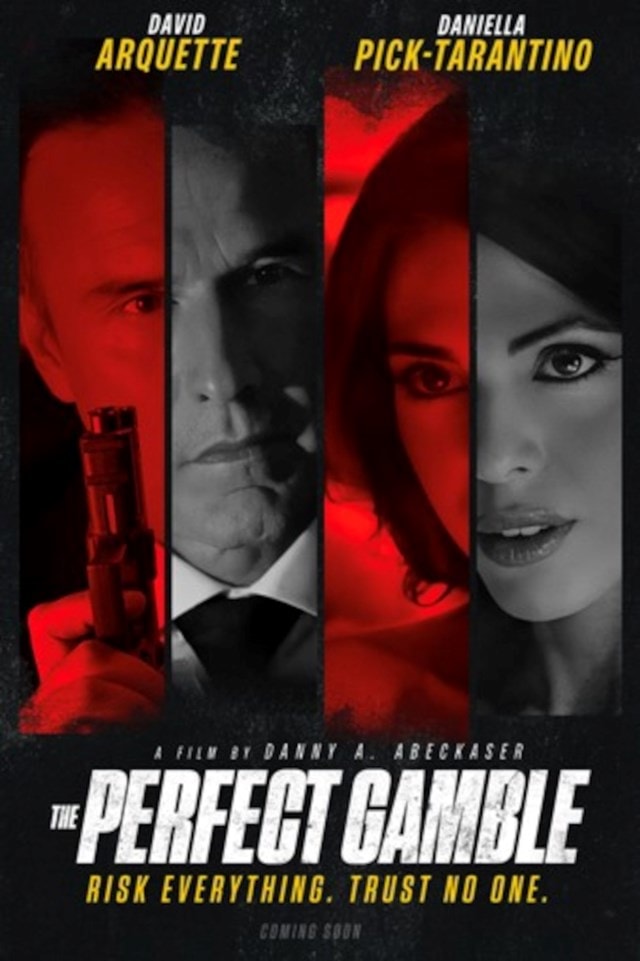 The Perfect Gamble - 1