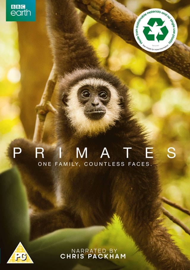 Primates - 1