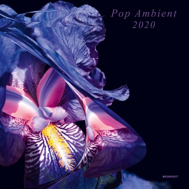 Pop Ambient 2020 - 1