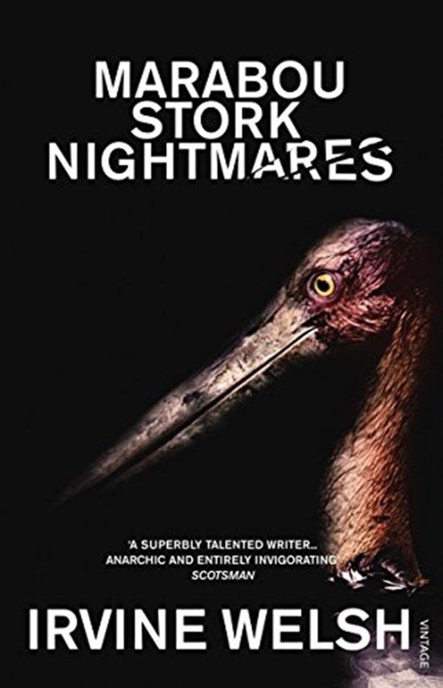 Marabou Stork Nightmares - 1