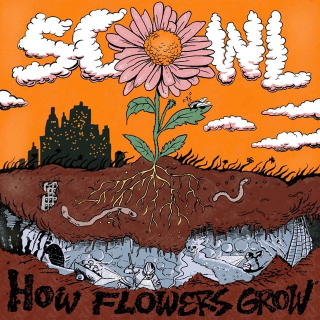 How flowers grow - 1