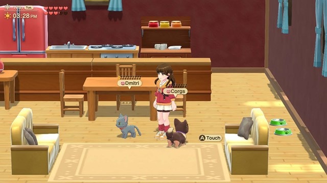 Harvest Moon: Home Sweet Home Special Edition (Switch) - 7