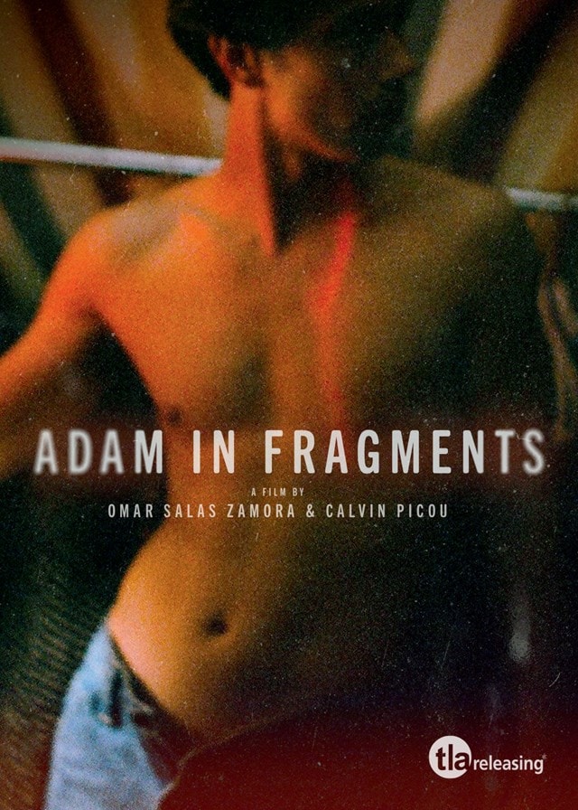 Adam in Fragments - 1