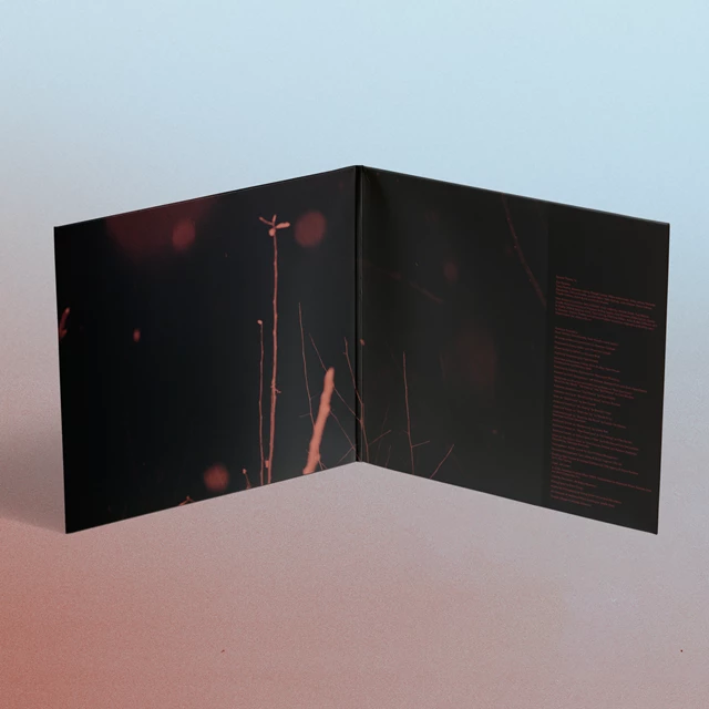 American Football (LP4) - Red 2LP - 3