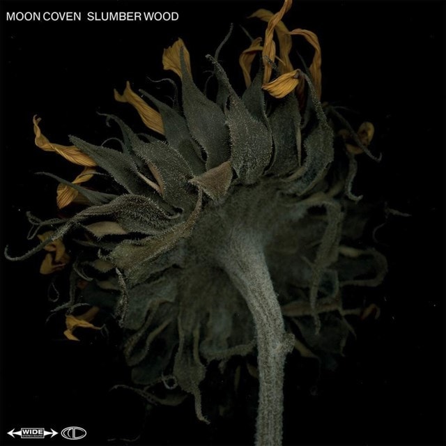 Slumber Wood - 1