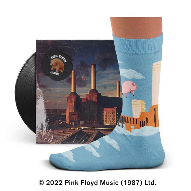 Animals Pink Floyd Socks (L) - 2