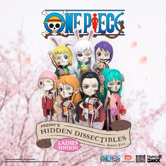 Freenys Hidden Dissectibles One Piece Ladies Series Mighty Jaxx Blind Box - 3