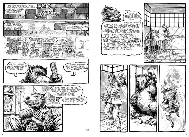 Teenage Mutant Ninja Turtles: The Mirage Years 1984-1987 IDW Classic Collections Graphic Novel - 7