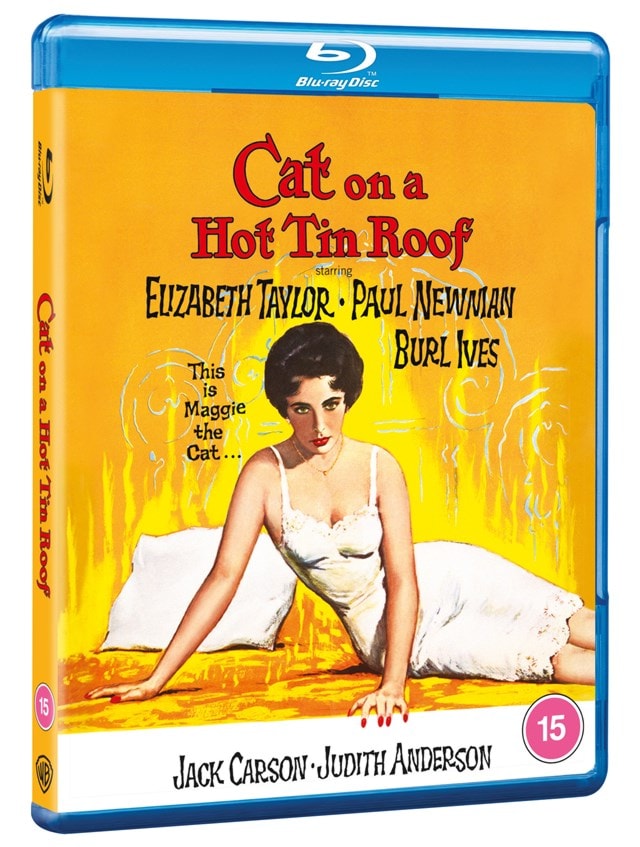Cat On a Hot Tin Roof - 2