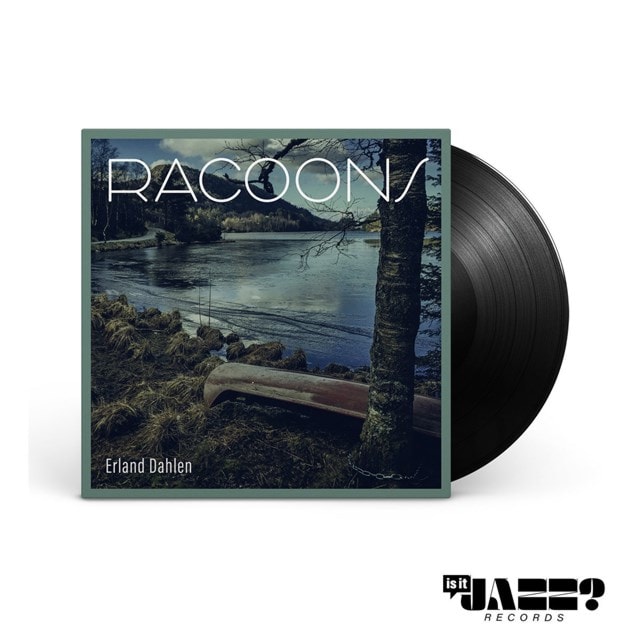 Racoons - 2