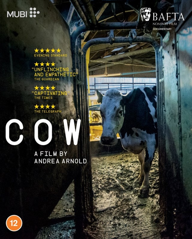 Cow - 1