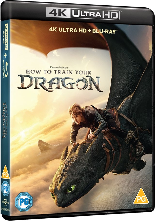 How to Train Your Dragon HMV Store