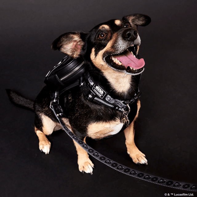 Darth Vader Dog Collar Star Wars Loungefly Pets (Large) - 2