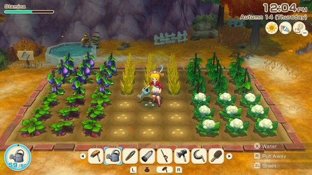 Story of Seasons: Grand Bazaar (Nintendo Switch) - 7