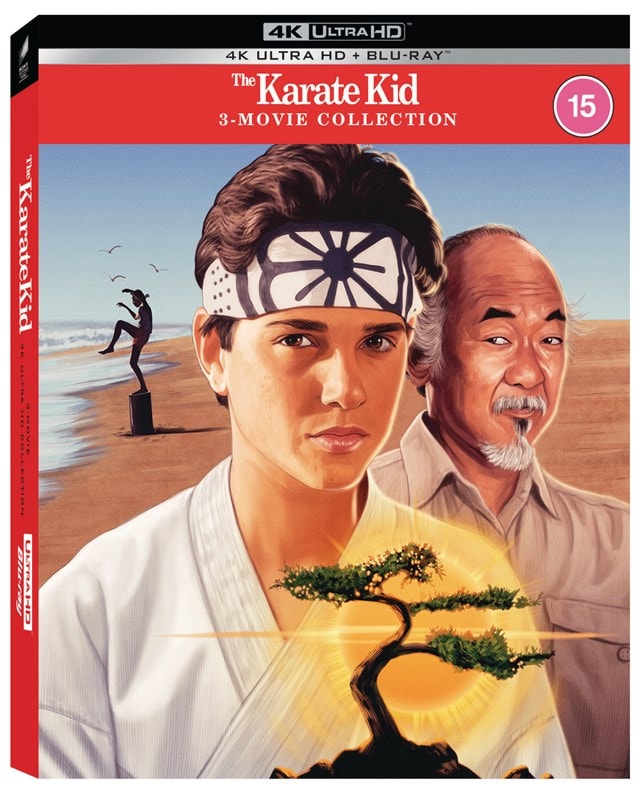 The Karate Kid/The Karate Kid 2/The Karate Kid 3 - 3