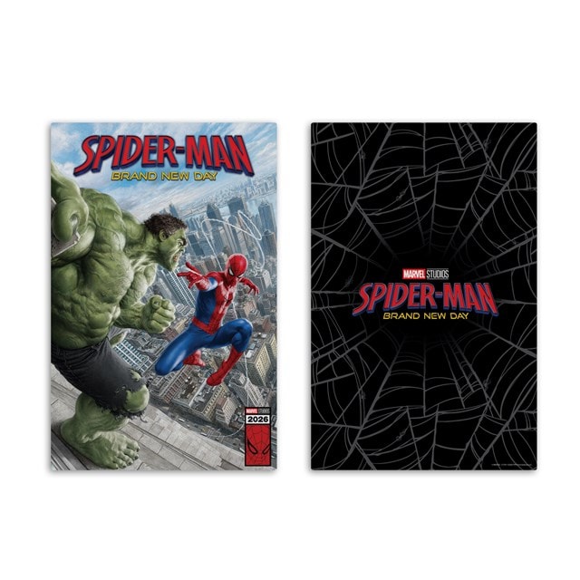 The Hulk Spider-Man Brand New Day McFarlane 1/6 Scale Figure - 2