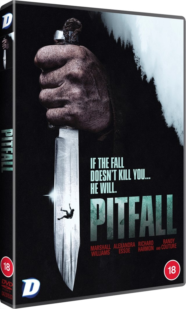 Pitfall - 2